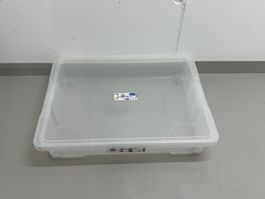 Rotho klarsichtige, robuste Aufbewahrungsrollbox