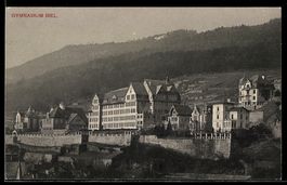AK Biel, Gymnasium mit Umgebung aus der Vogelschau