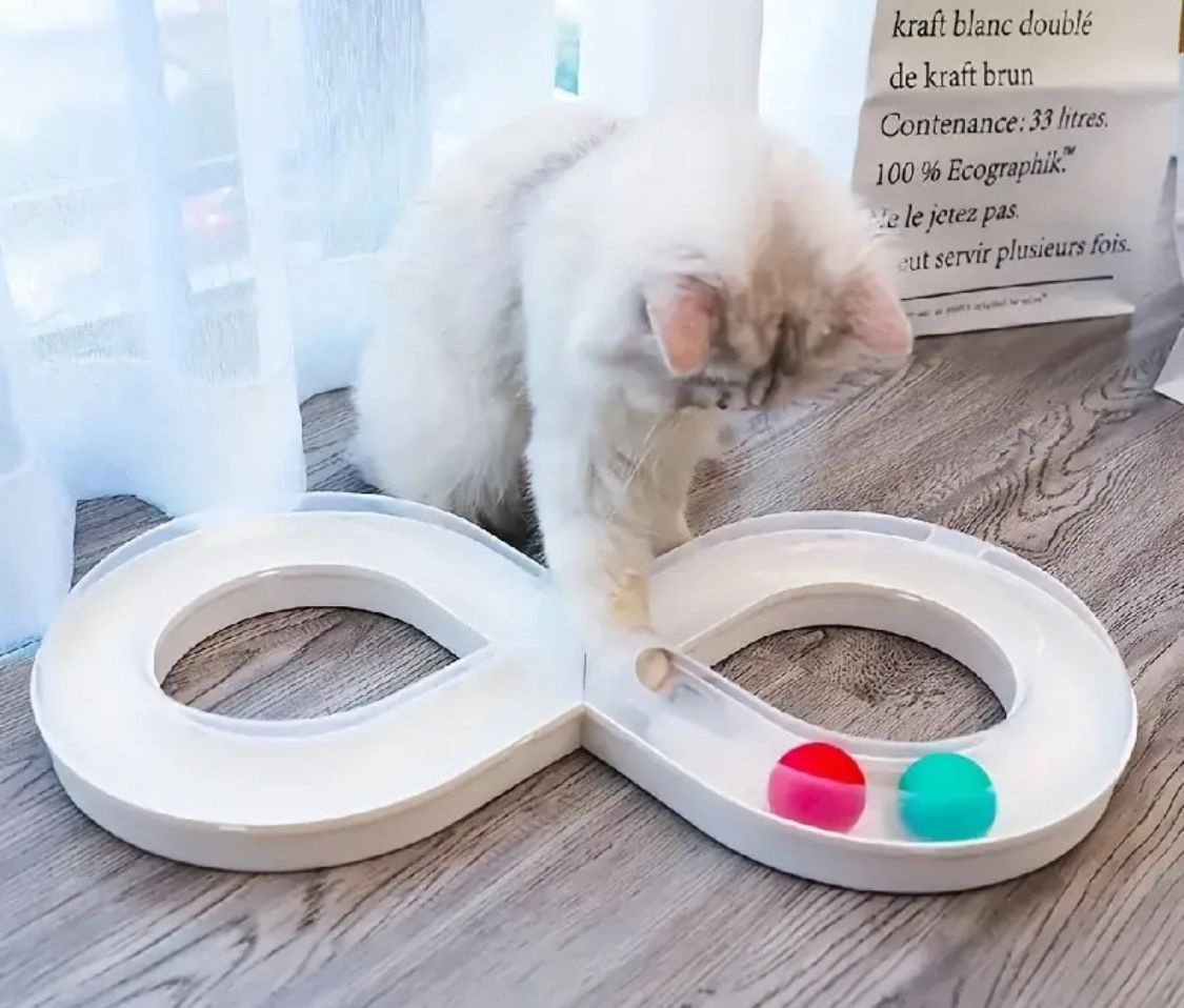Spiele: Katzen Spielbahn NEU – Neu (gemäss Beschreibung) aus Thun von Jimmuli