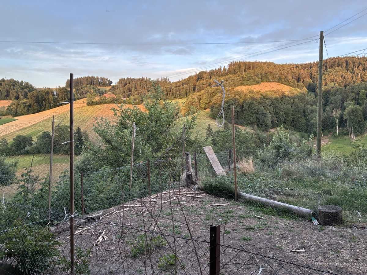 Gabbie, trasporto & Sicurezza: Hühnerhaus mit viel Zubehör – Usato da Oberburg venduto da mar_hl2j 7