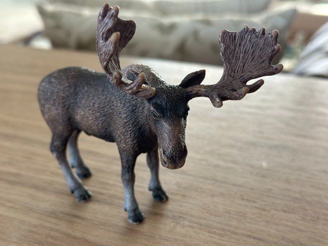 Schleich Statuette: Schleich Elch Sammelfigur – Usato da Fällanden venduto da SafariSchleichCH