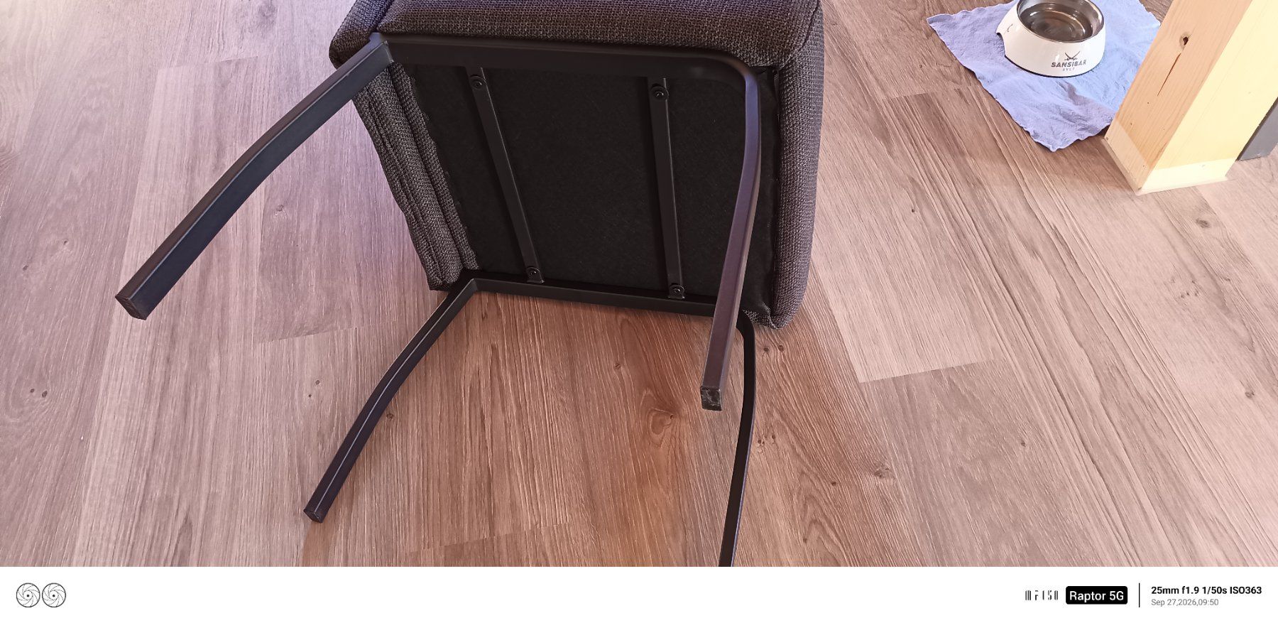 Conforama Sedie: Polster Stühle 4Stk – Usato da Ringgenberg BE venduto da schneegeiss 3