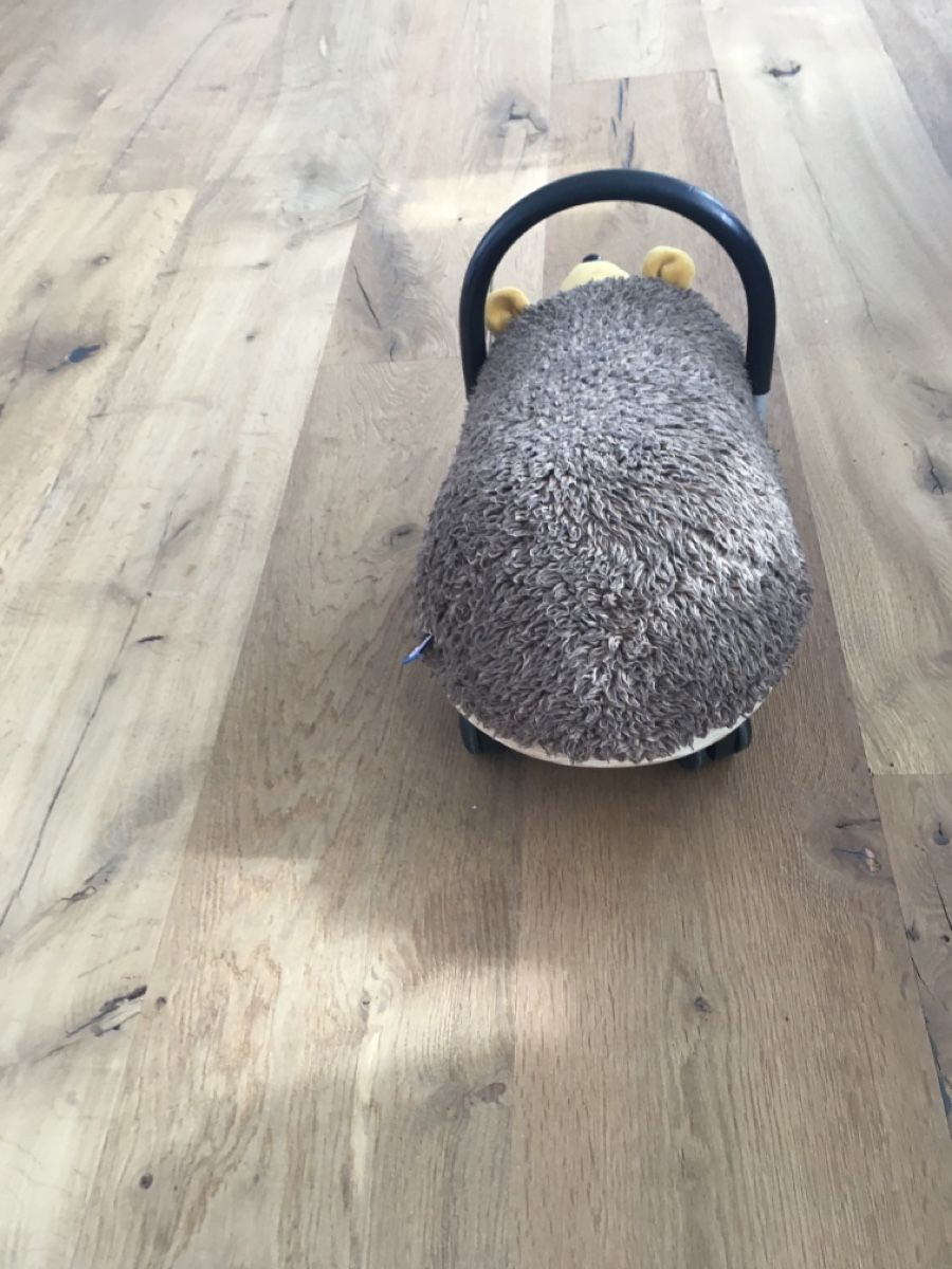 Fahrzeuge für Kinder: Wheely Bug klein Igel - Rutschfahrzeug – Gebraucht aus Lenzburg von angelina1327 2