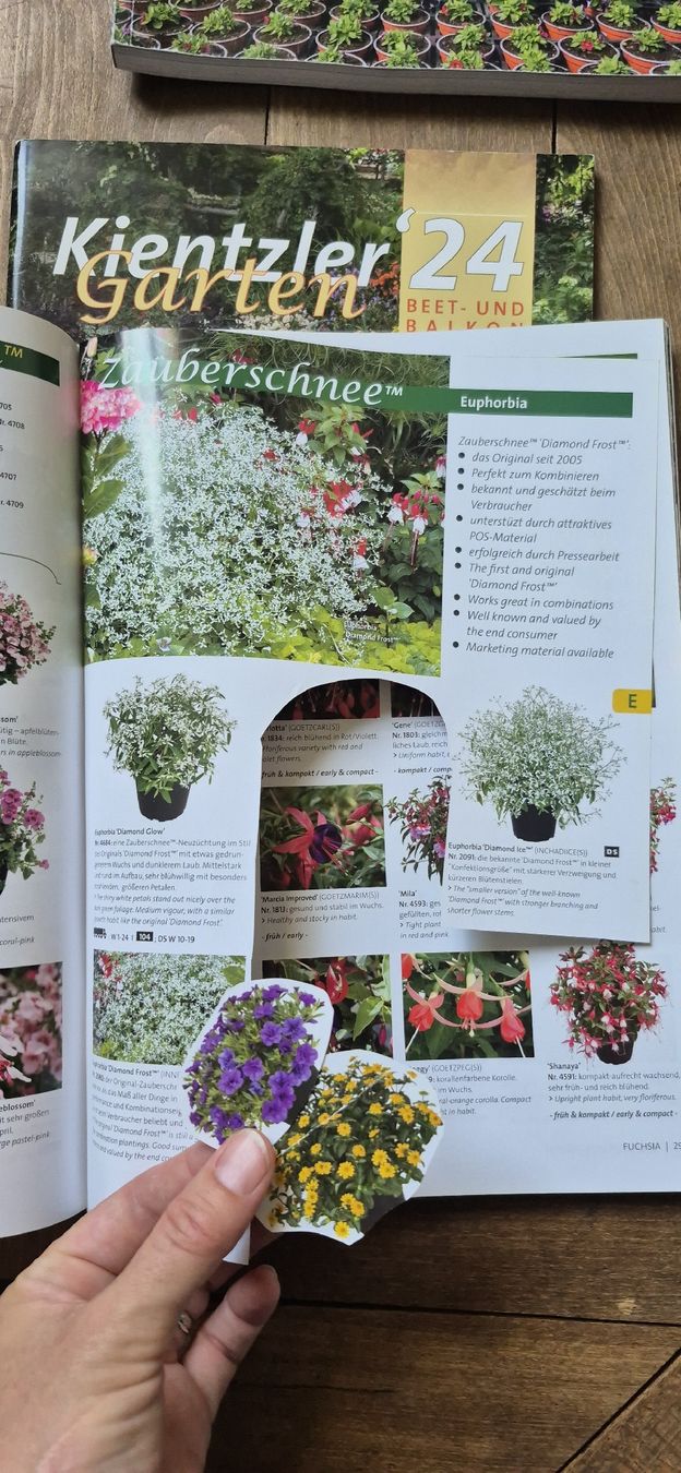 Libri: Kientzler Garten '24 Katalog – Usato da Luzern venduto da 365mal 2