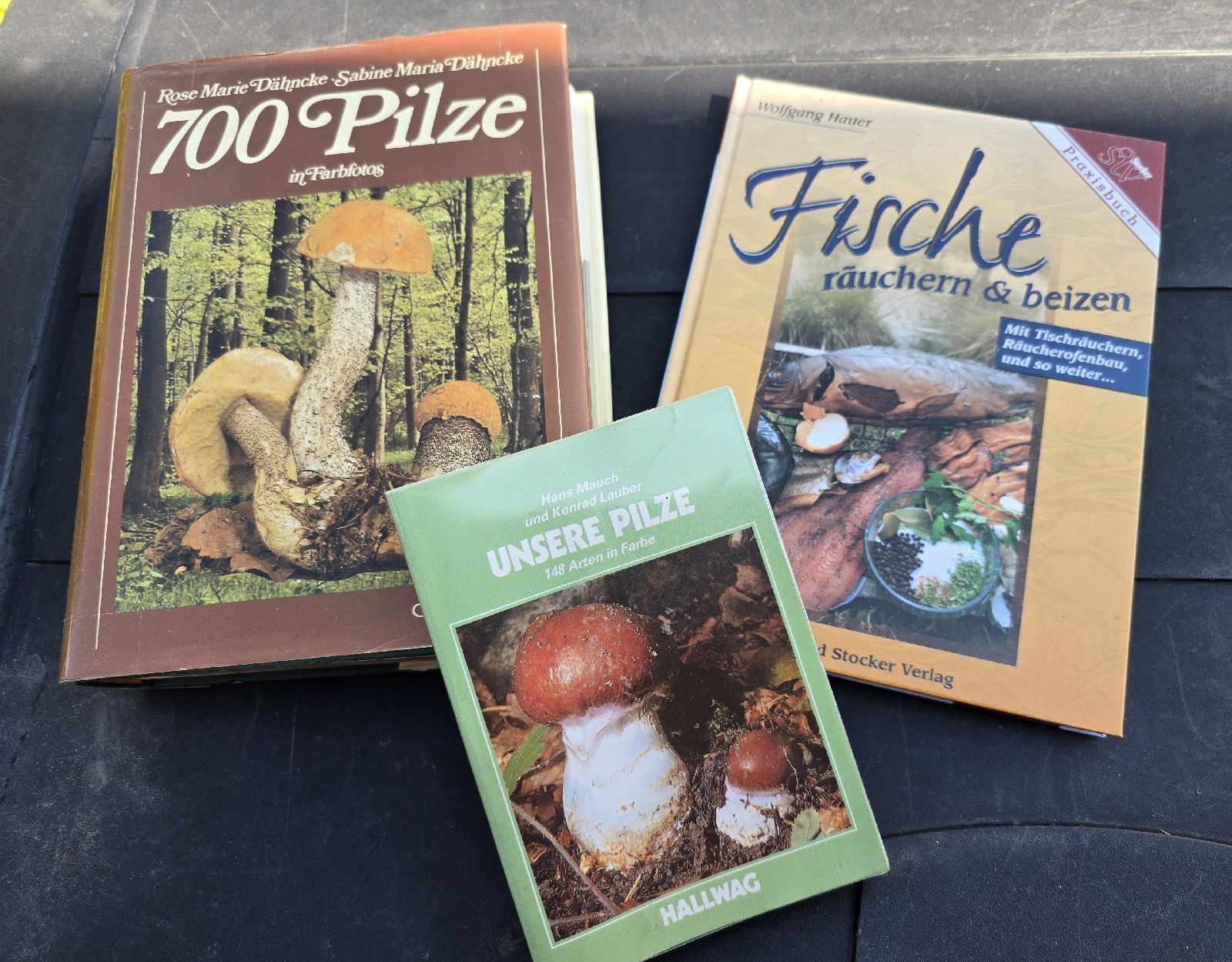Libri: 2 Pilzbücher & 1Fischräuchern Buch Konvolut – Usato da Walkringen venduto da Vanuca