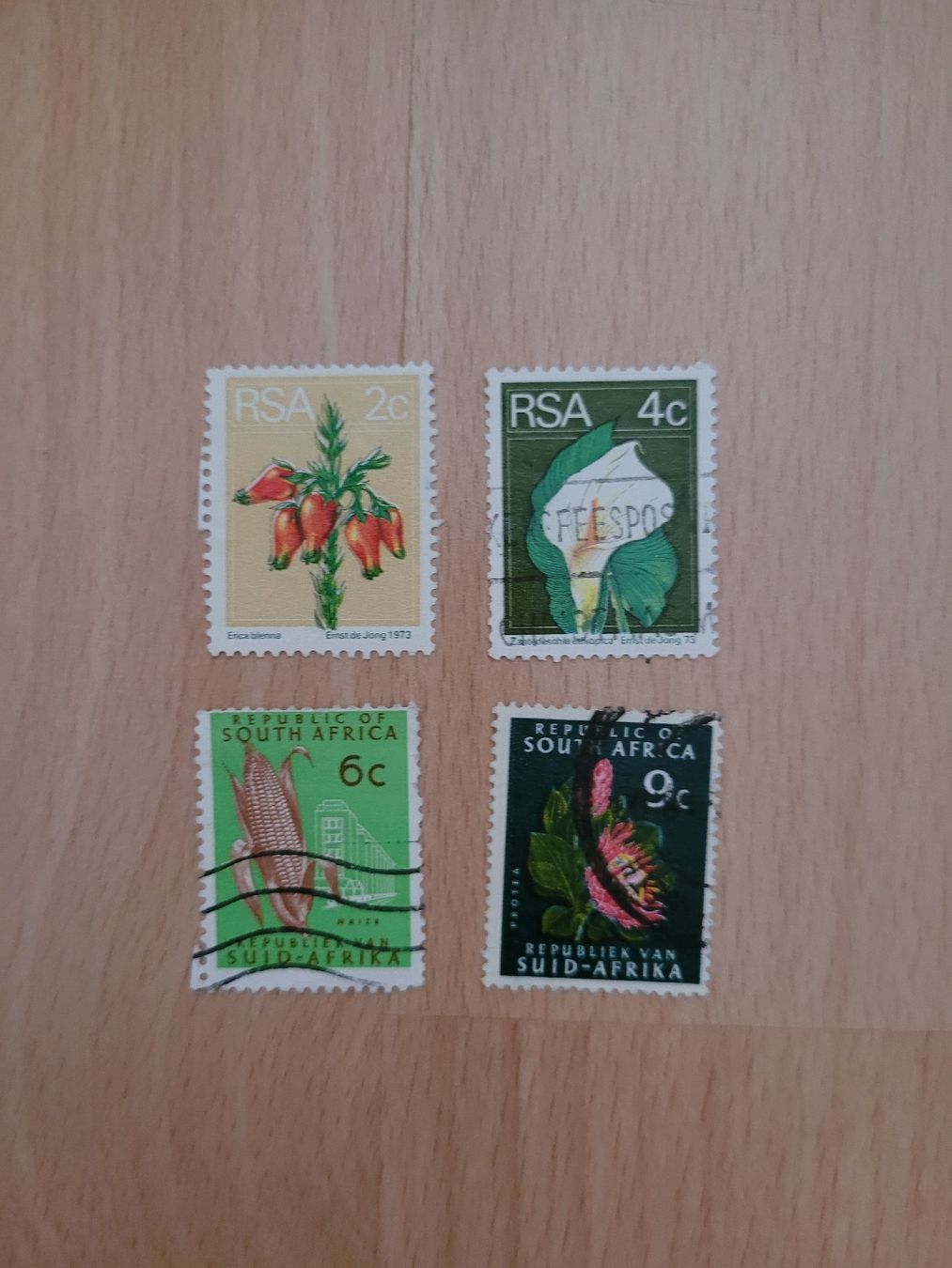 Tutti i francobolli: Briefmarken Südafrika Pflanzen – Usato da Inwil venduto da Flower2325
