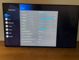 Panasonic 65“ Flachbildschirm TV – voll funktionsfähig!