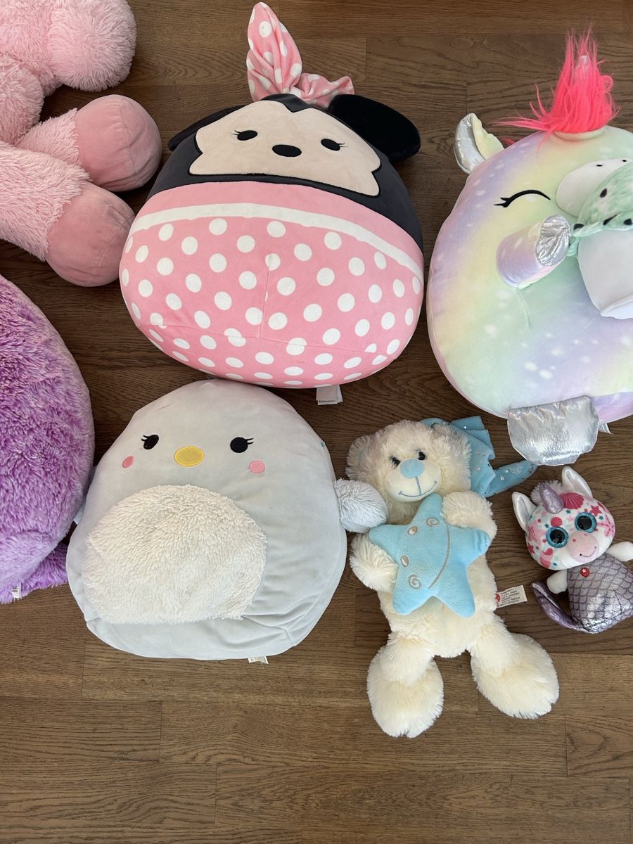 Squishmallows Spielzeuge: Squishmallows / Stofftiere – Gebraucht aus Zürich von adamriese81 2