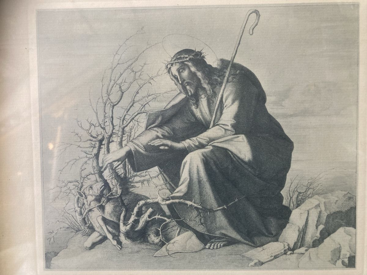 Grafica & Litografie: Antikes Bild Jesus Christes  Bauer Schaf retter – Usato da Boll venduto da Jopp1 1