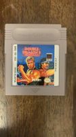 Double Dragon 3 für Gameboy