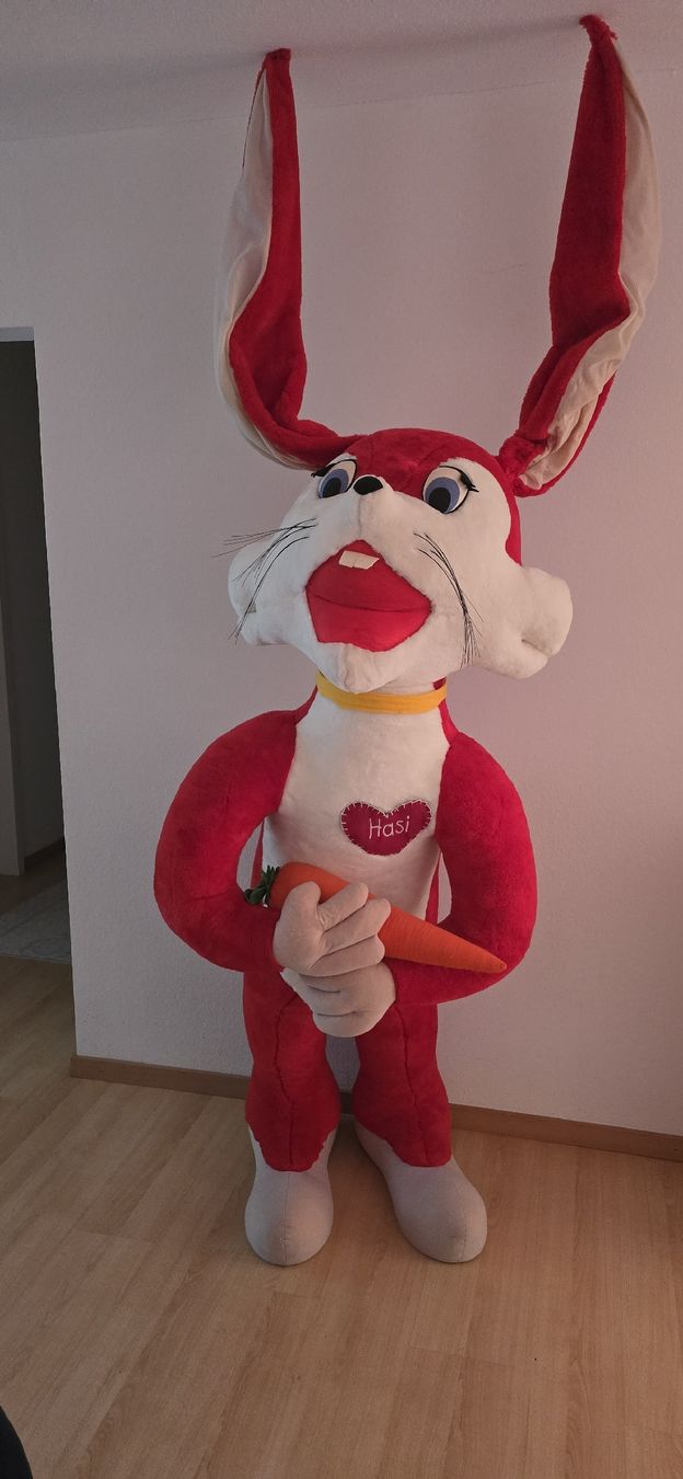 Jouets: XXL Hase  – D'occasion à Ramsen par metavision92