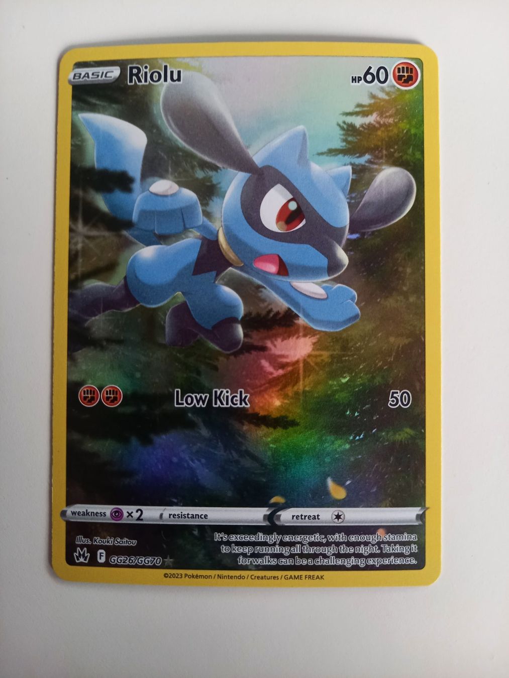 Pokémon Carte collezionabili: Riolu GG26/GG70 - Crown Zenith - Mint - EN – Nuovo (secondo la descrizione) da Genève venduto da eti_lnc7 2