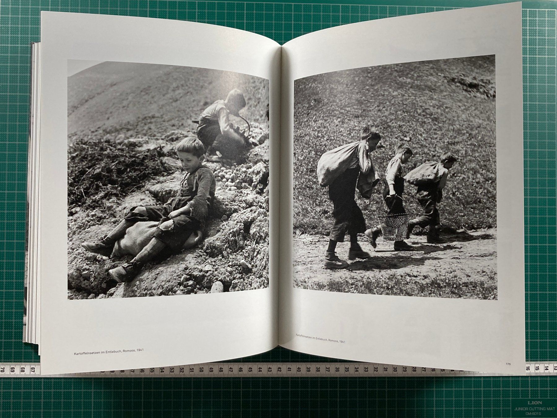 Libri: Theo Frei - Fotografien – Usato da Lenzburg venduto da fh1 5