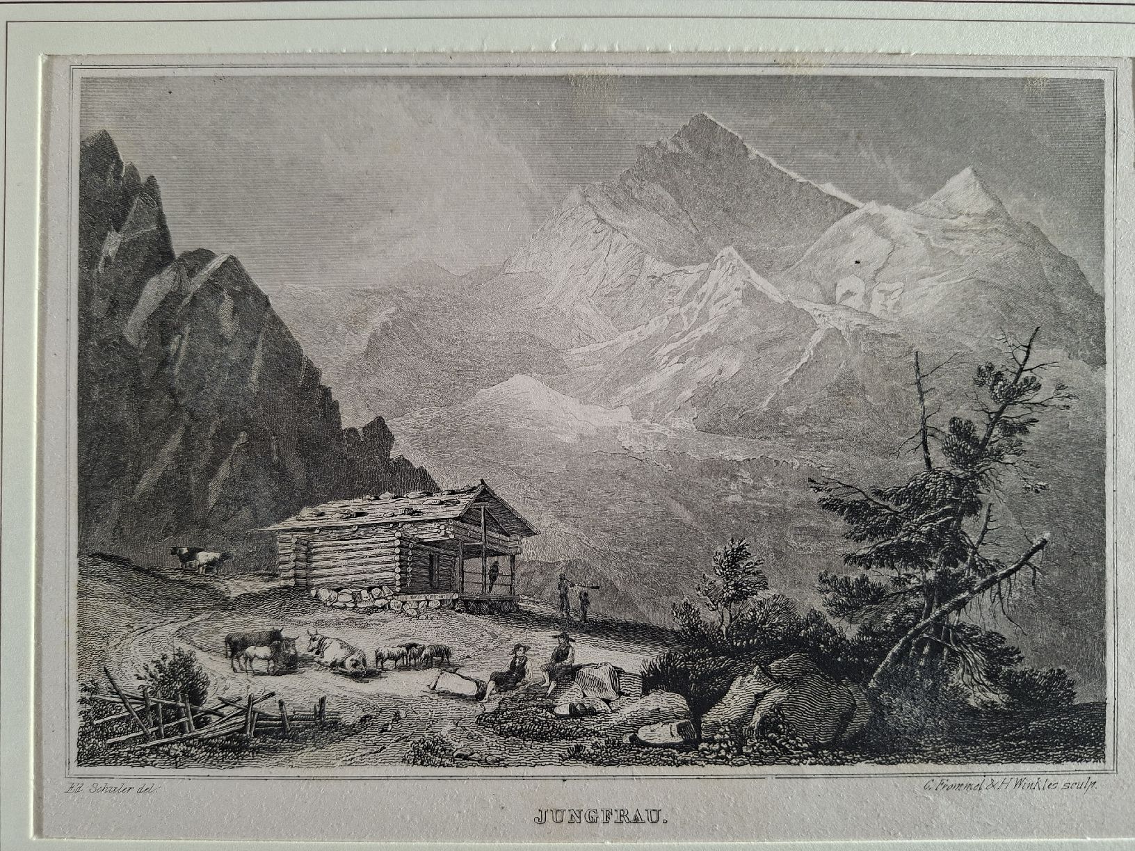 Incisioni: Lot 8, 5 Stiche  berner Oberland  – Usato da Grindelwald venduto da carro5 3