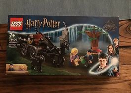 Lego Harry Potter Hogwarts Carriage and Thestrals 76400