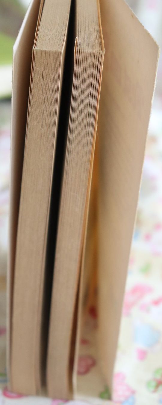 Bücher: Fest im Sattel von Rainer Stiller – Gebraucht aus Glattfelden von Sirax 3