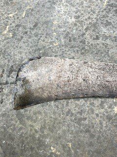 Altre raccolte & rarità: aLte MaCHeTe – Usato da Winkel venduto da zeho 1