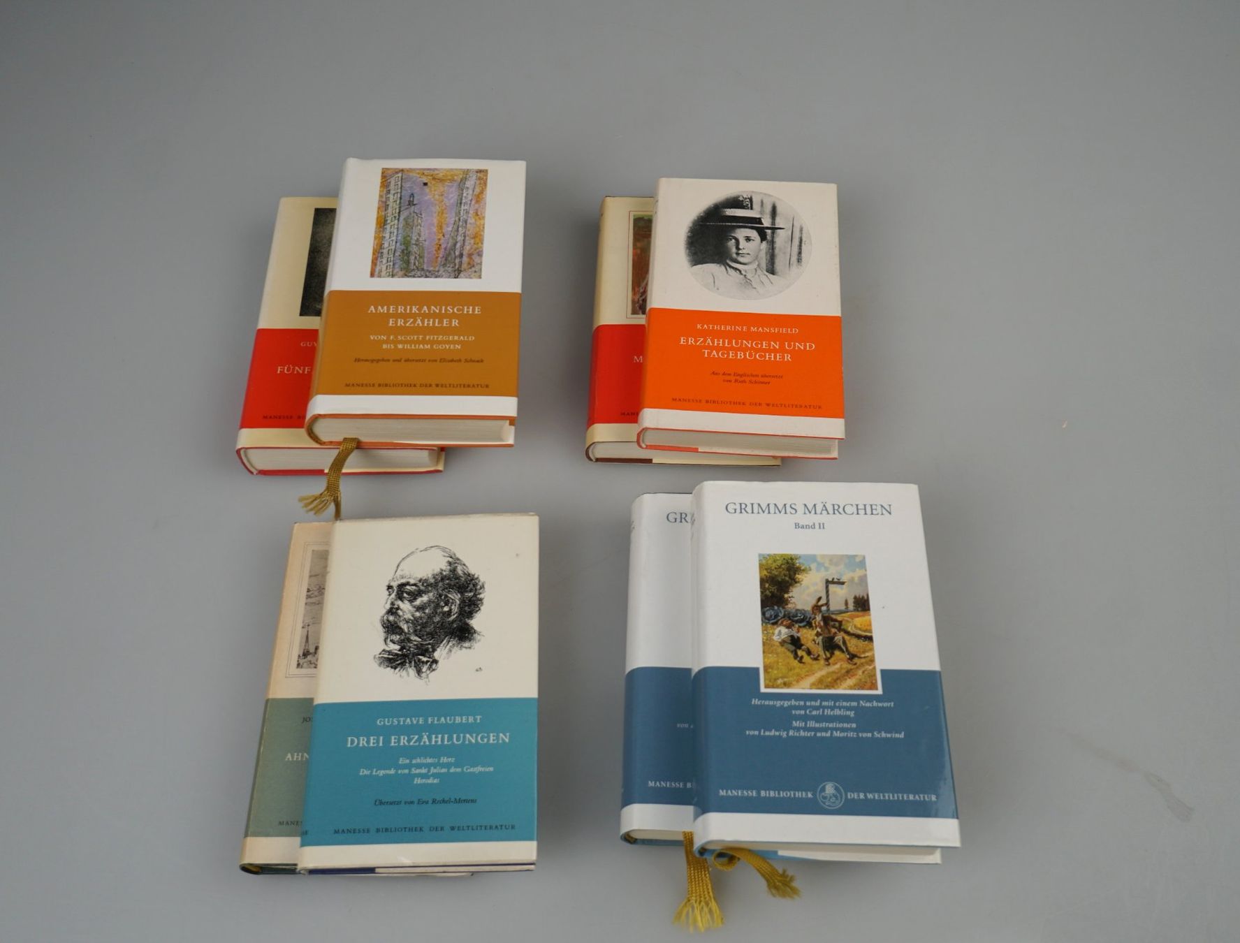 Libri: Manesse Bücher-Sammlung (54St.) – Usato da Volketswil venduto da brockipfannenstil 1