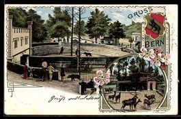 Lithographie Bern, Bärengraben, Hirschenpark