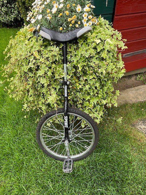 Biciclette: Einrad von "Fishbone" Sport – Usato da zollikofen venduto da HeuteVerkaufen