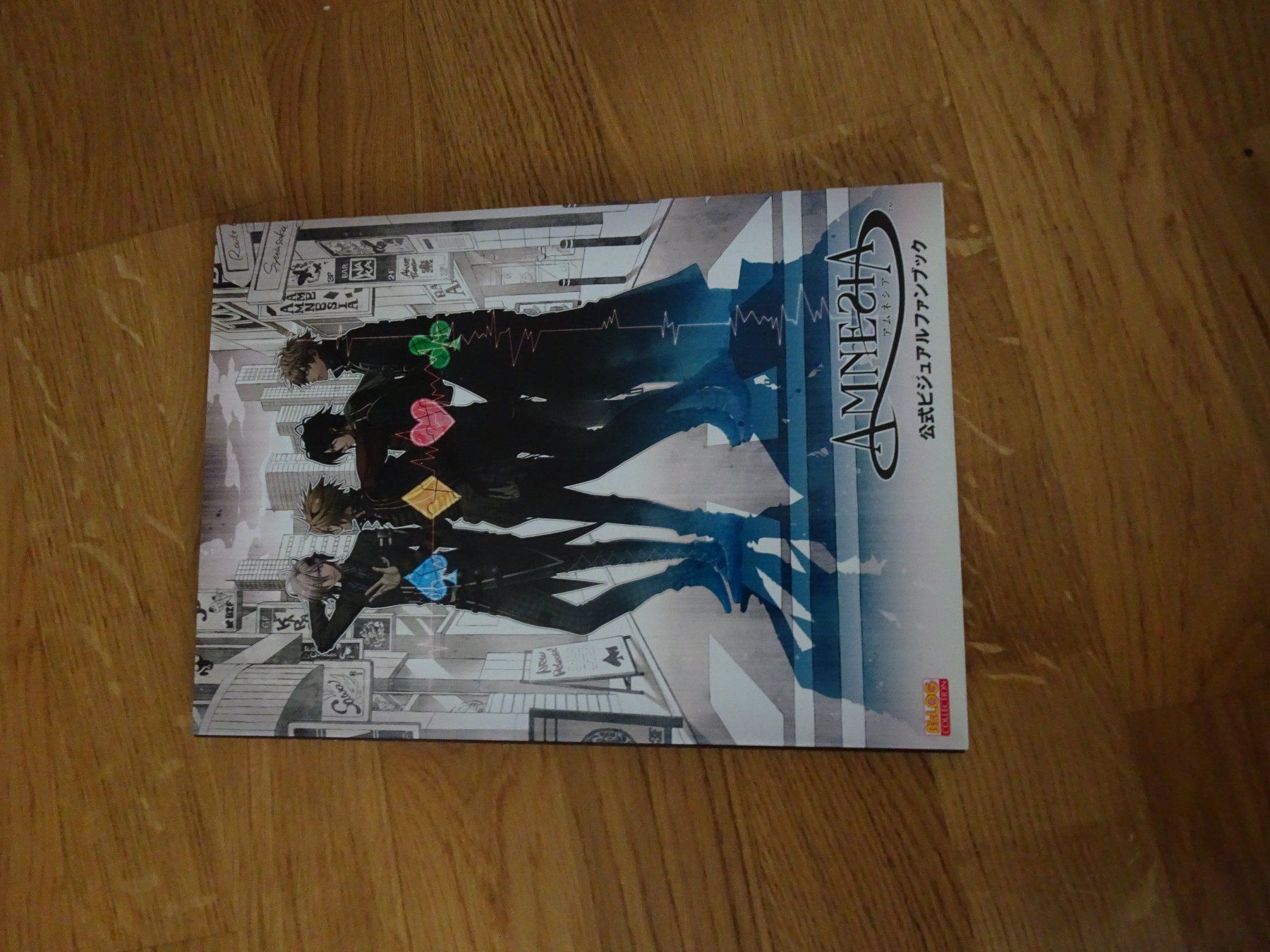 Libri: Amnesia - B'sLog Collection Artbook – Usato da Bern venduto da Maronn