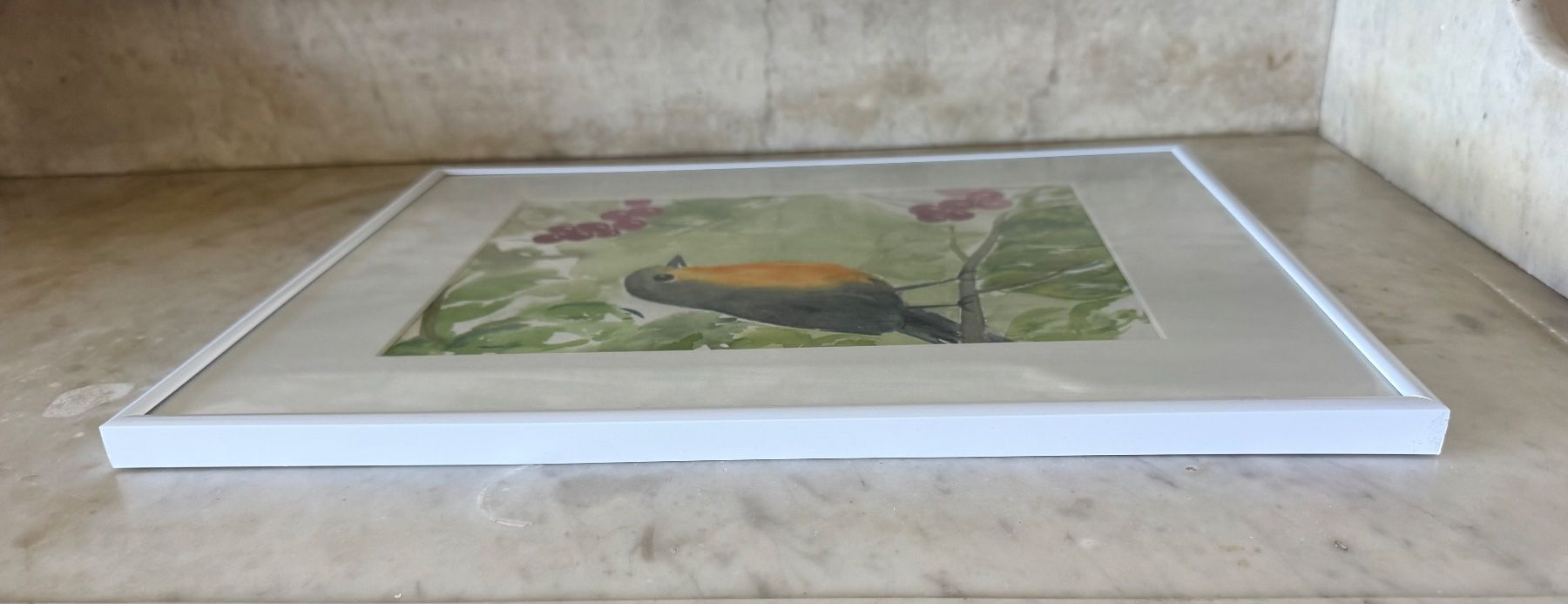 Posters & Illustrations: Rotkehlchen Aquarell – D'occasion à Volketswil par CHEF2222 2