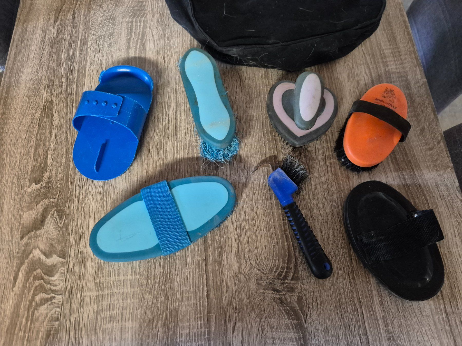 Briglie & Cavezze: Putztasche / Putzbox mit Zubehör / Bürsten – Nuovo (secondo la descrizione) da Meggen venduto da Orrinka20 1