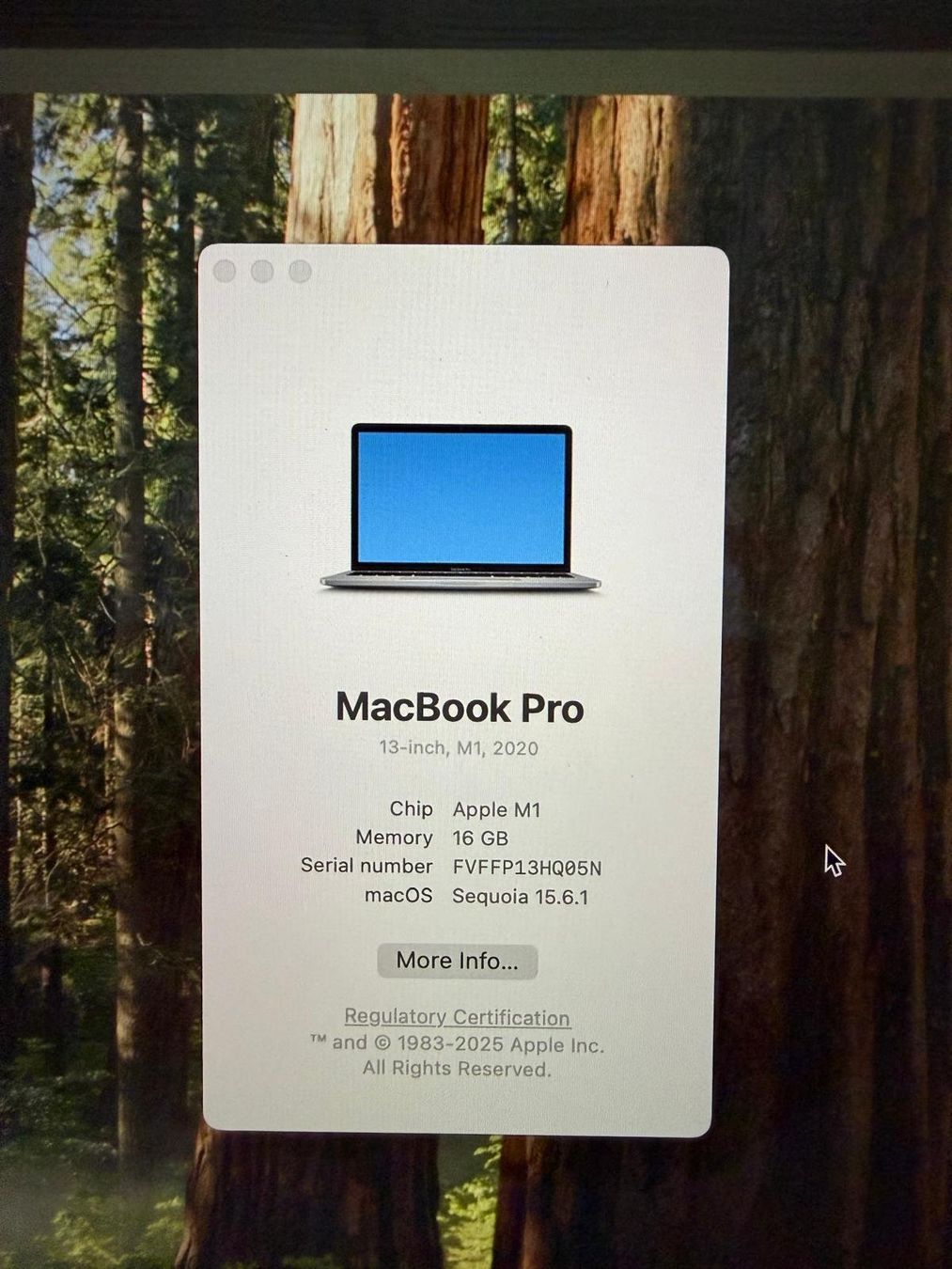 Apple Notebook: MacBook Pro 13 M1 2020 16GB/500GB Disk – Usato da Biel/Bienne venduto da van_halen25 2