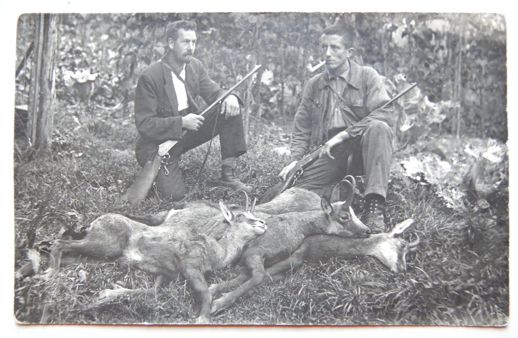 Cartoline postali: FOTO AK - Jäger mit Beute - – Usato da Senèdes venduto da Framboise52