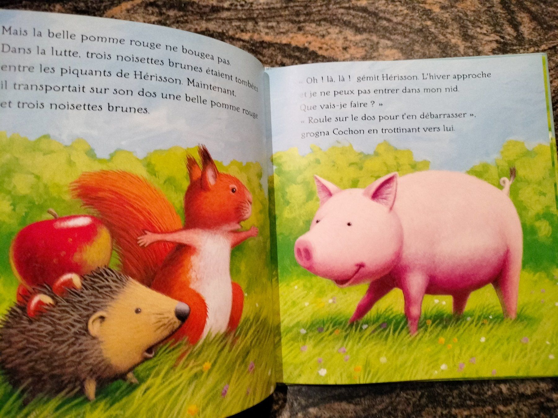 Bücher: La piquante aventure de hérisson – Gebraucht aus Cortaillod von rozinna 7