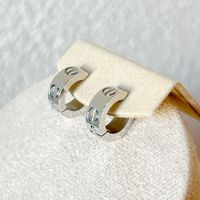 Ohrringe aus Edelstahl, silbrig, NEU