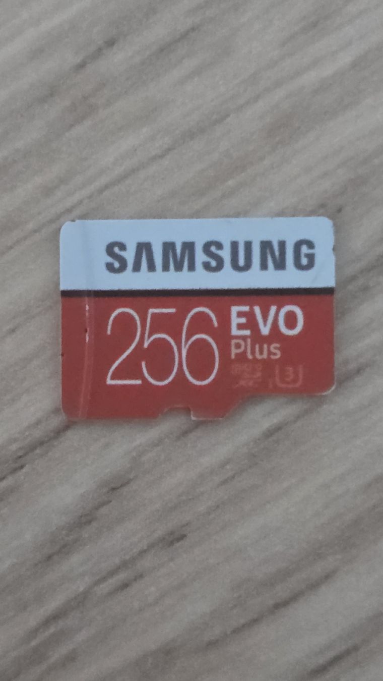 Samsung Schede di memoria: Carte Micro SD Samsung 256 Go EVO Plus  – Usato da Bramois venduto da Djoule87 1
