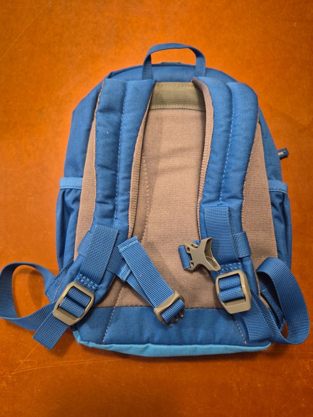 Borse & Zaini: Deuter Kinderrucksack blau Bär Motiv – Usato da Küssnacht am Rigi venduto da Hannibal06 1