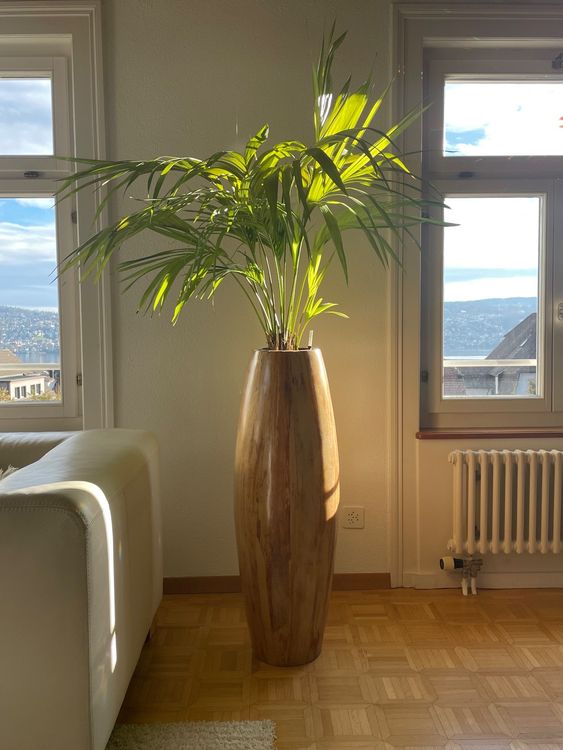 Ästhetisches HolzGefäss für Pflanzen/Objekte 100 x 30/35 cm Kaufen