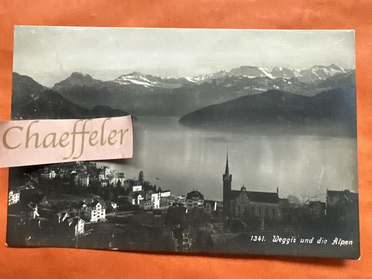 Cartoline postali:  Weggis und die Alpen – Usato da Zürich venduto da Chaeffeler