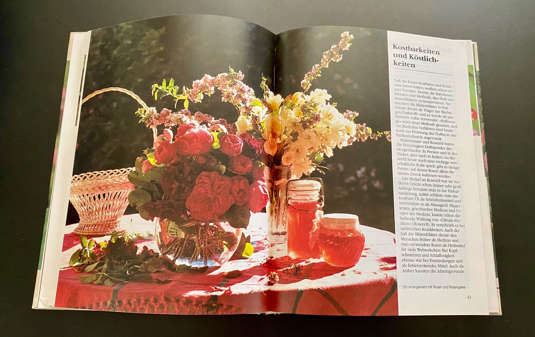 Livres: Vom Zauber der Alten Rosen – D'occasion à Nussbaumen AG par schuba2000 7