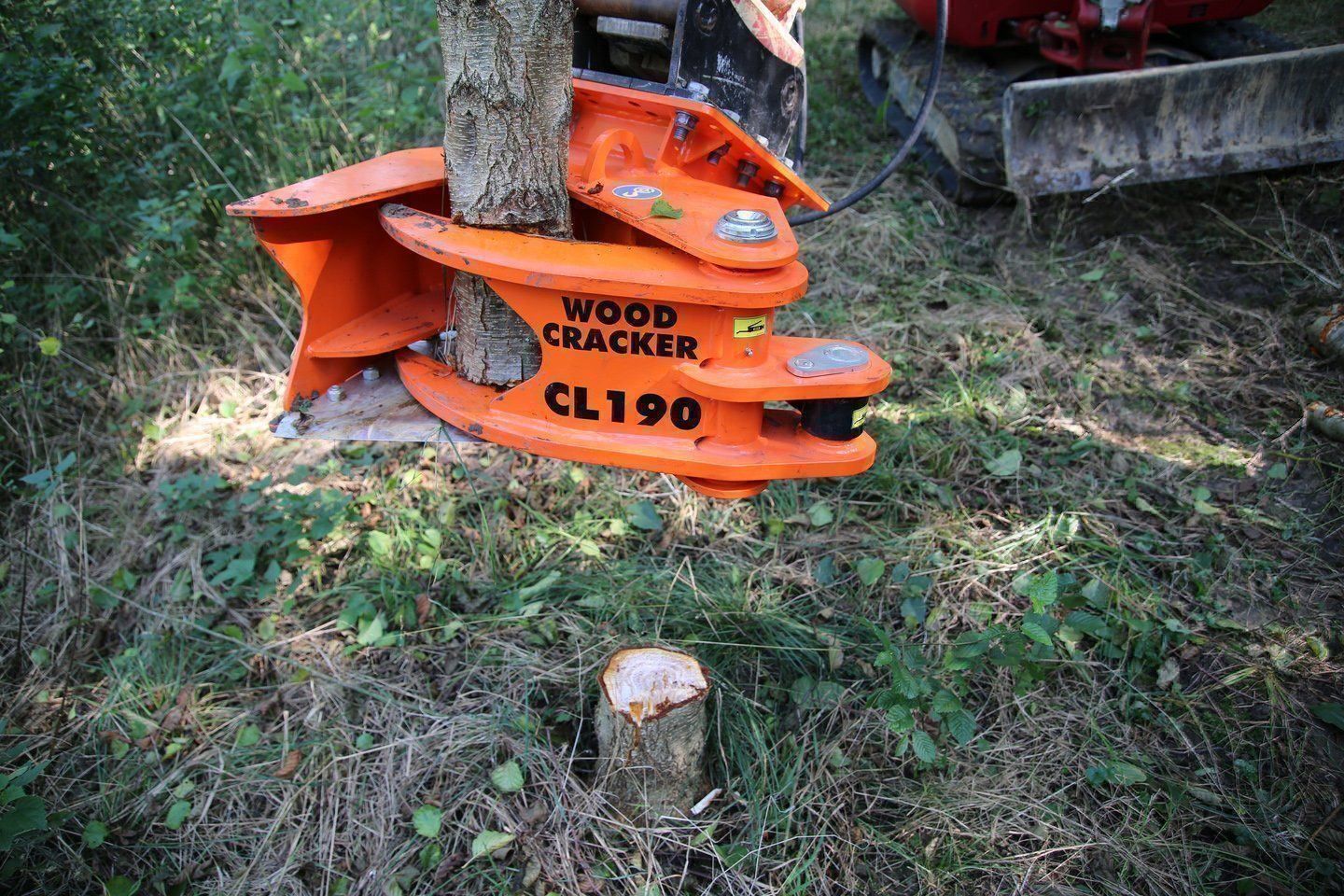 Escavatori: Fällgreifer  WOODCRACKER CL190 – Nuovo e nell'imballaggio originale da Schüpfheim venduto da grischa01