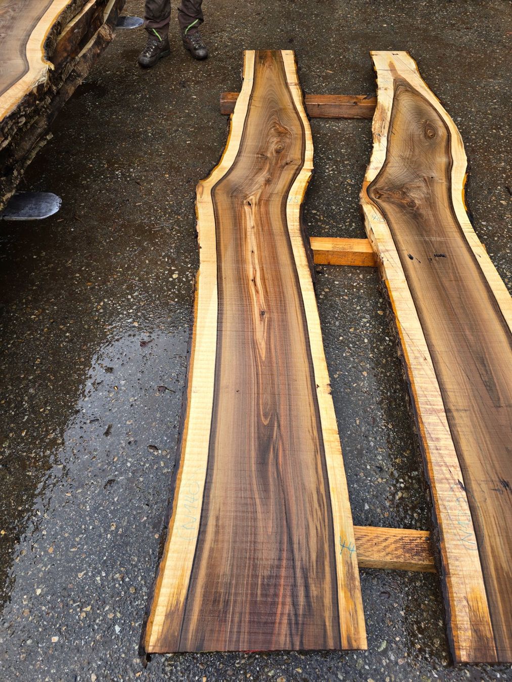 Articoli in legno: Nussbaumbrett Nr. N140 – Nuovo (secondo la descrizione) da Ramsei venduto da Waelchris