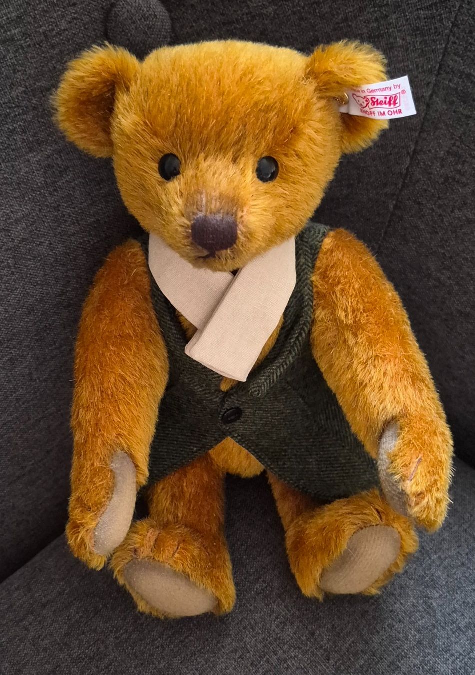 Steiff Giocattoli: Steiff Bear Forrest, unbespielt – Usato da Lenzburg venduto da friedi5 4