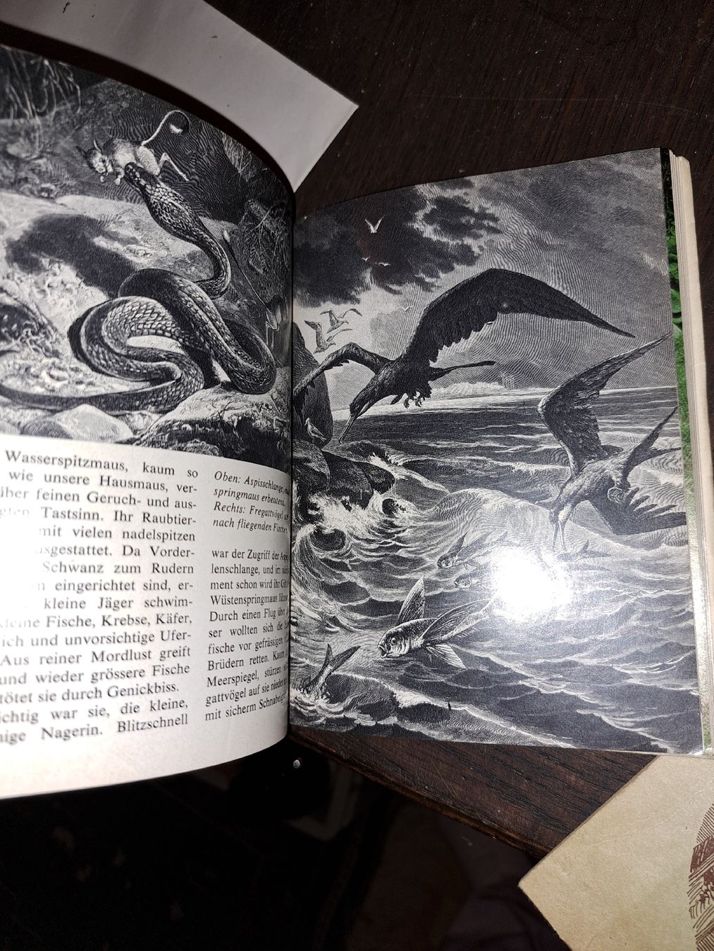 Livres: Jugendkalender "mein Freund" 1973 - – D'occasion à Kölliken par Upcycling-by-Mc-TAM 2