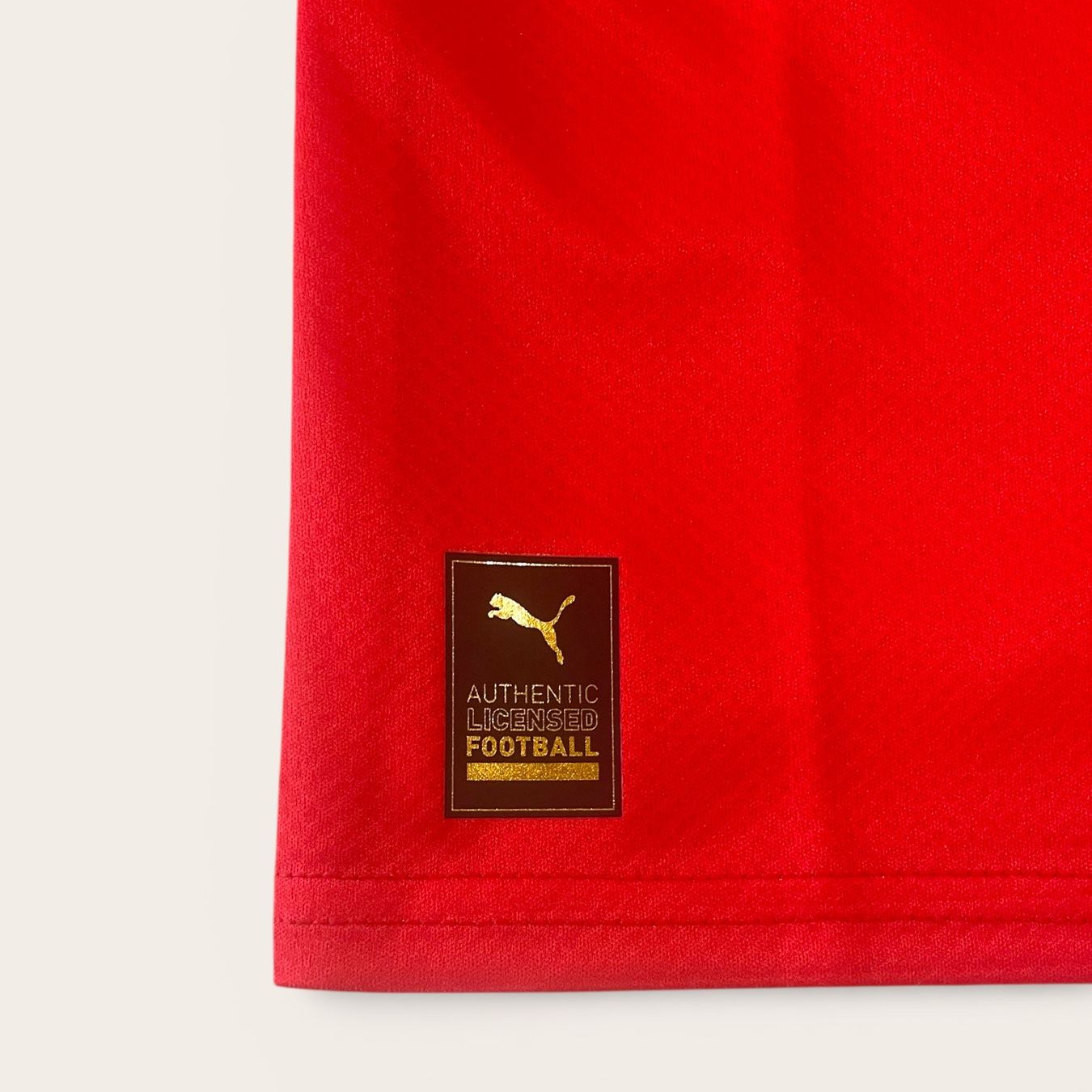 Puma Maillots de corps & Pantalons: 2022 | Suisse (S) – Neuf avec emballage d'origine à Savièse par TempsAdditionel 3