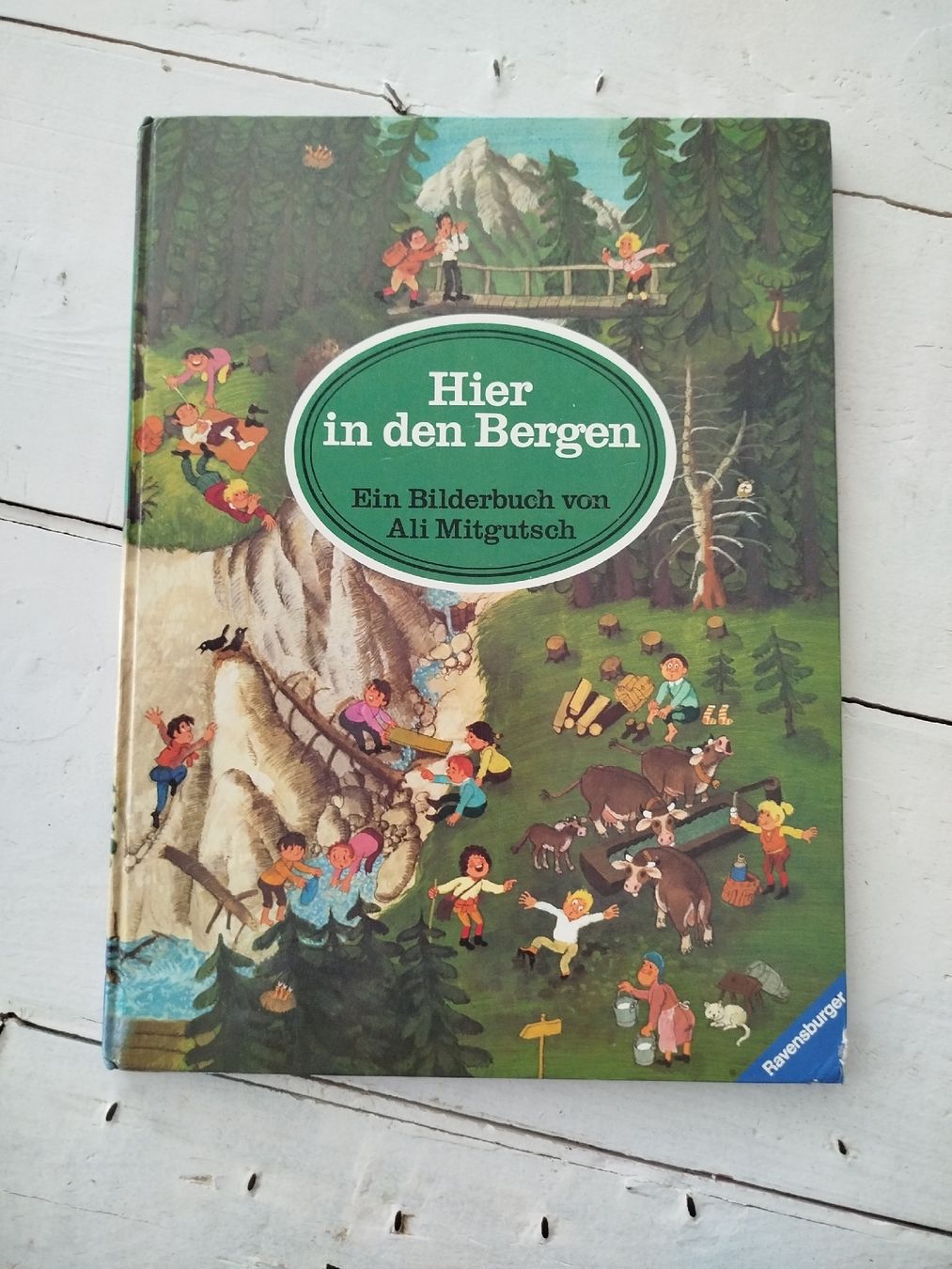 Libri: Hier in den Bergen, Ali Mitgutsch – Usato da Fällanden venduto da san_zsm8