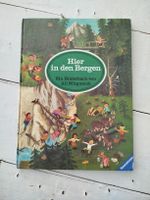 Hier in den Bergen, Ali Mitgutsch