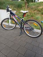 Cyngus Fahrrad