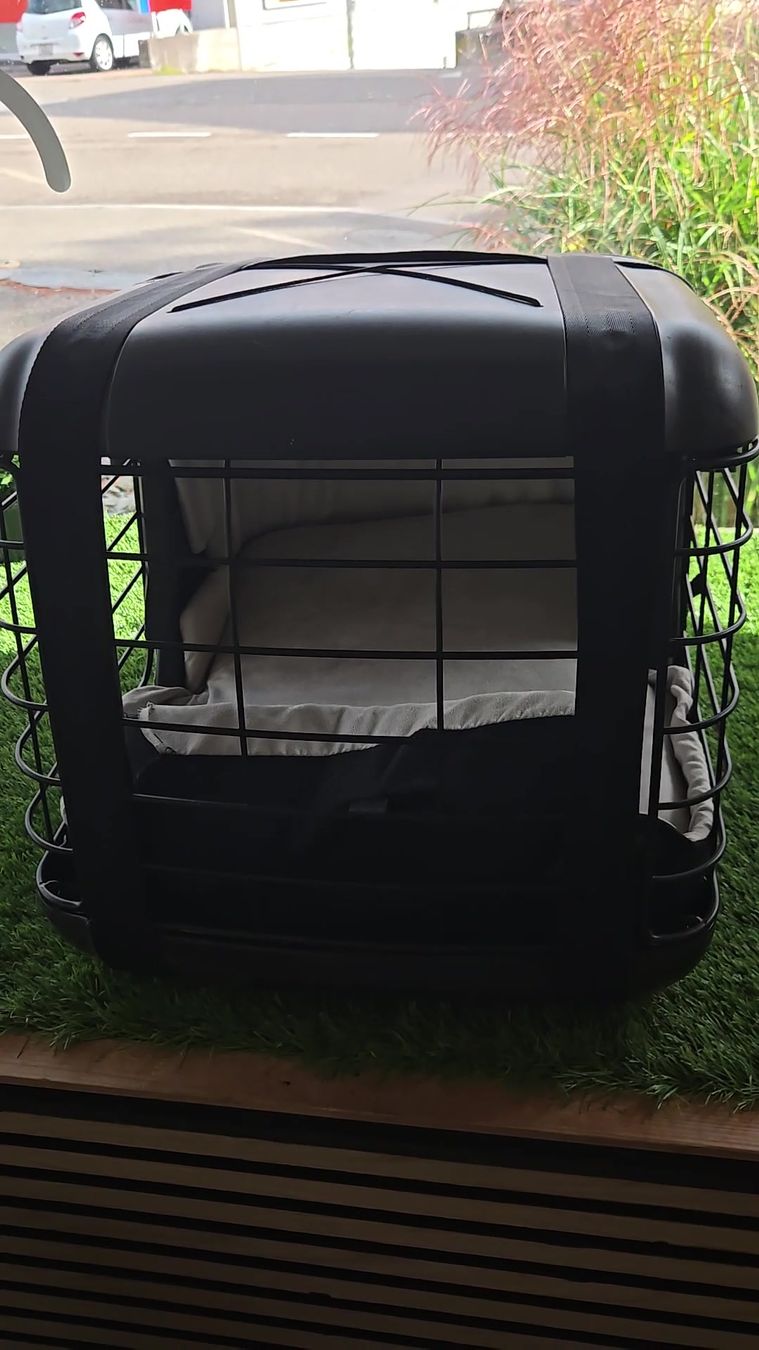 Niches, paniers: 4pets Transportbox Caree  – D'occasion à Basel par Moebeloutlet1 5