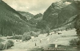 Alp Stössi  UR  mit Hôtel S.A.C und Scheerhorn    um 1 9 0 3