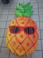 Intex Cool Pineapple
