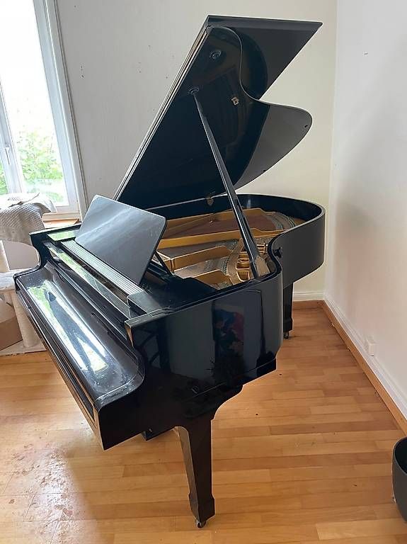 Strumenti musicali: Schwarzer Flügel Petrof – Usato da Münchenstein venduto da Aubacca 2