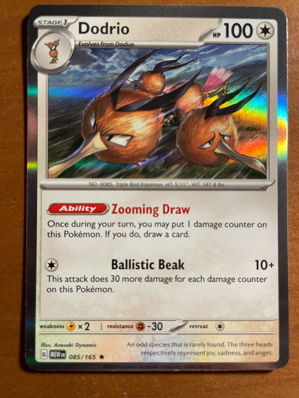 Pokémon Carte collezionabili: Pokemon Dodrio Holo (Versand gratis) – Nuovo (secondo la descrizione) da Chur venduto da Angerson