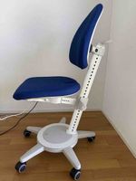 Moll Ergonomic Chair and Backrest Adjustable height